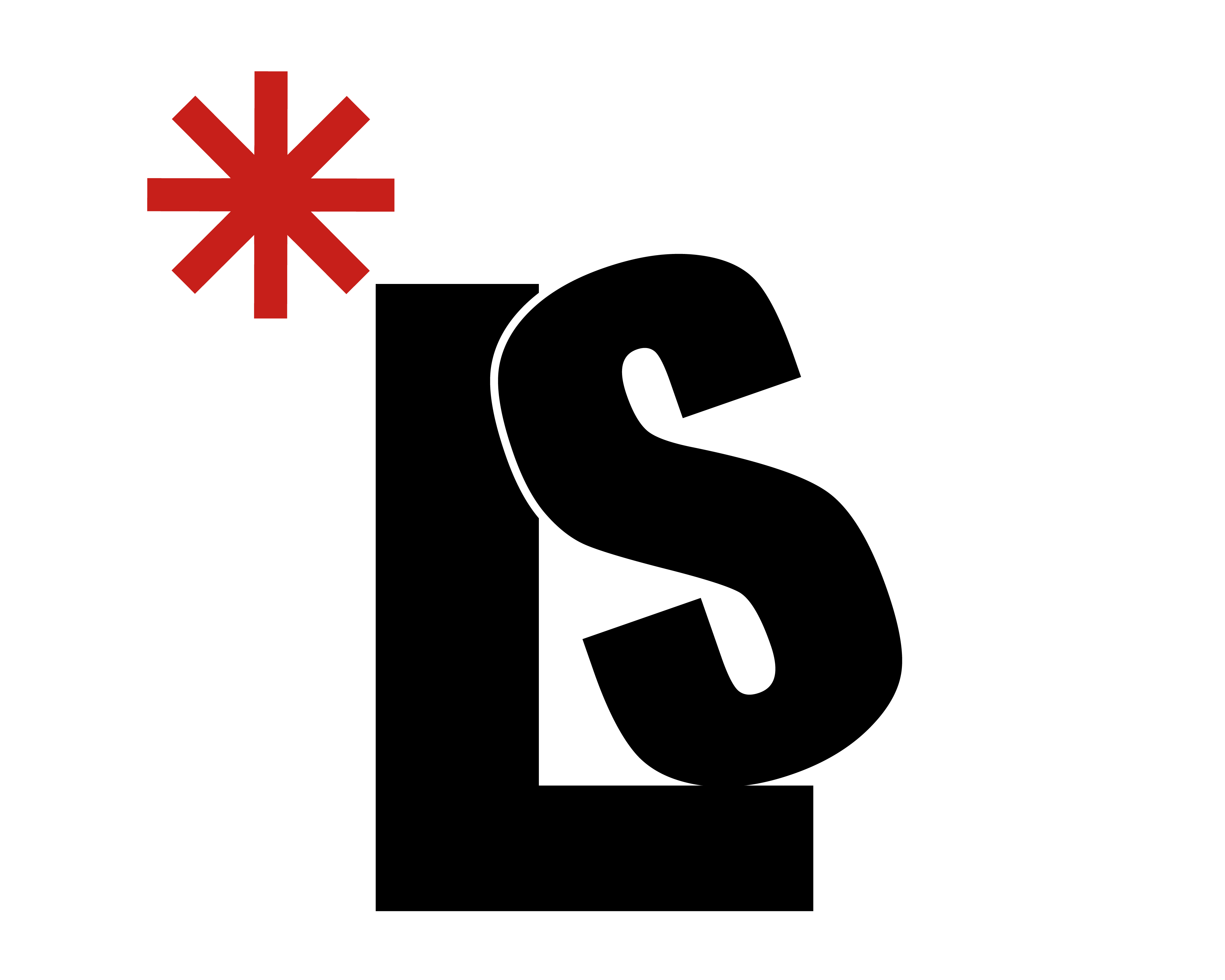 Logo LS